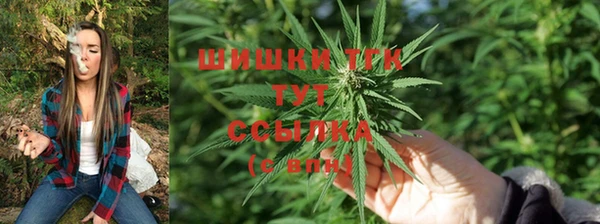 mix Няндома