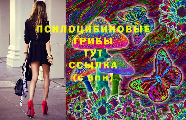 таблы Новодвинск
