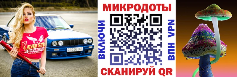 купить наркоту  Кирсанов  Псилоцибиновые грибы MAGIC MUSHROOMS 